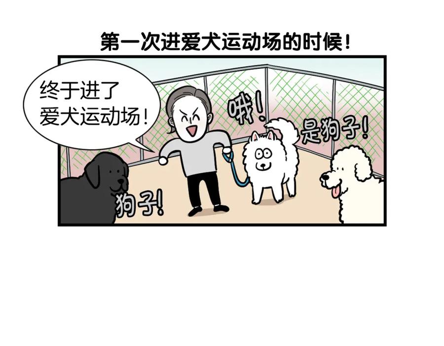 第55话社恐狗狗-我的狗子叫棉花-milo+Polarfox（第11张）