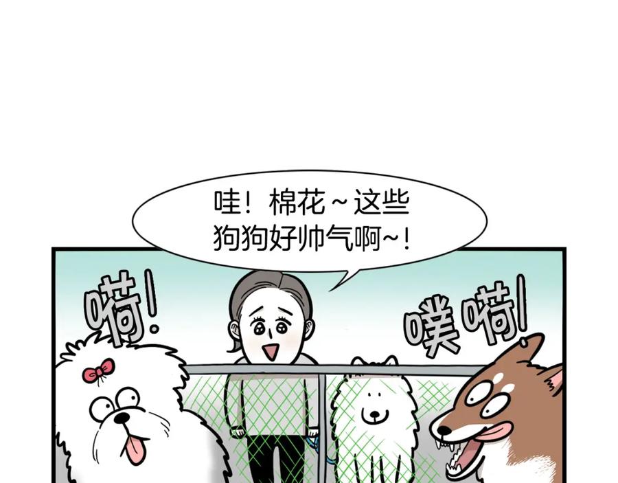 第55话社恐狗狗-我的狗子叫棉花-milo+Polarfox（第5张）