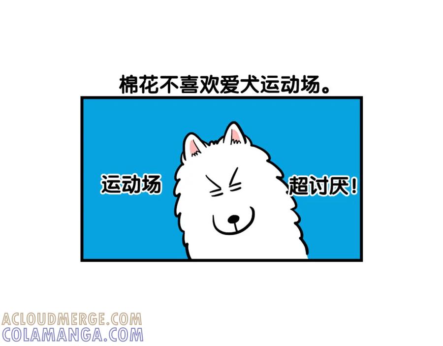 第55话社恐狗狗-我的狗子叫棉花-milo+Polarfox（第9张）