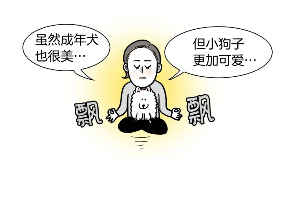 第58话狗狗好可爱！-我的狗子叫棉花-milo+Polarfox（第10张）