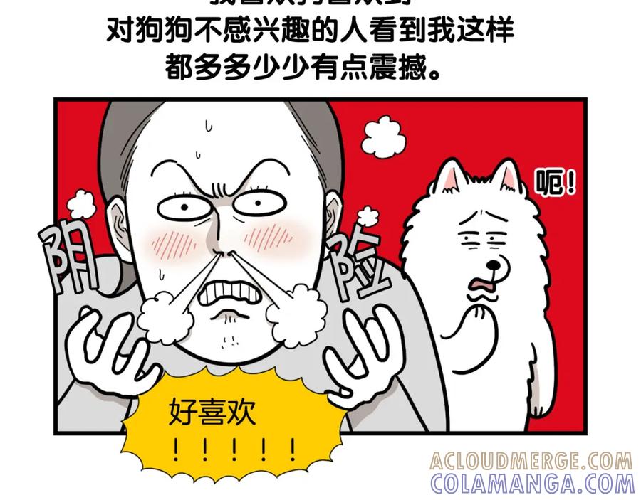 第58话狗狗好可爱！-我的狗子叫棉花-milo+Polarfox（第6张）
