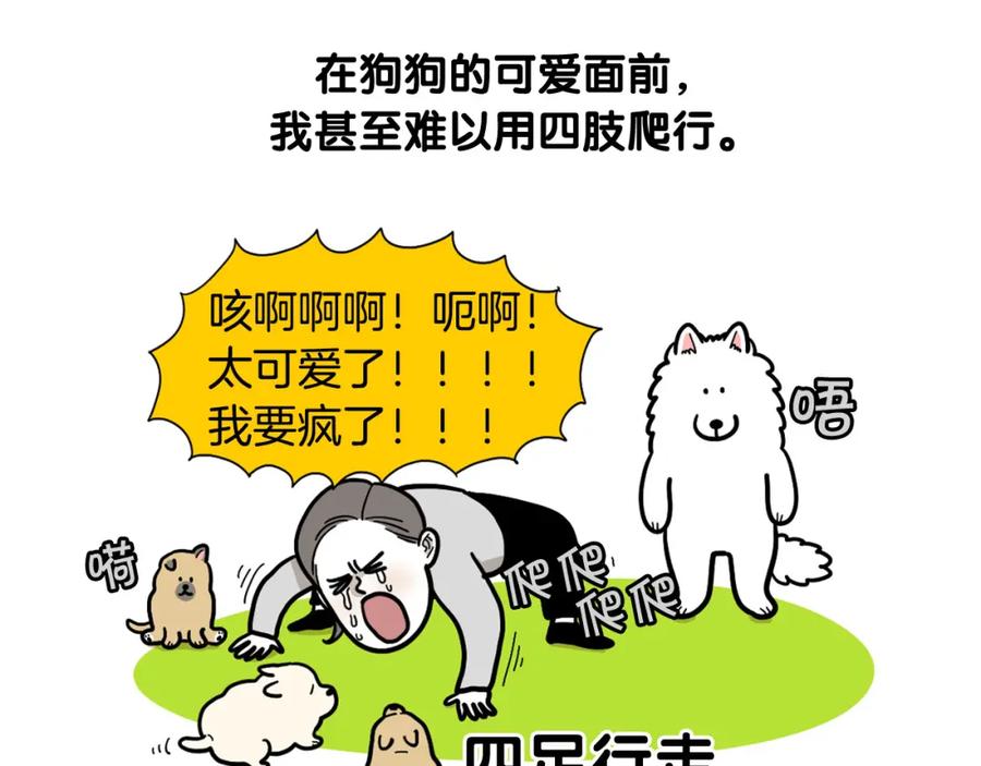 第58话狗狗好可爱！-我的狗子叫棉花-milo+Polarfox（第11张）