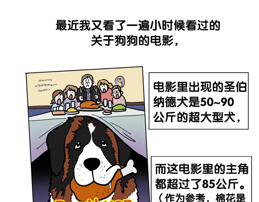 第58话狗狗好可爱！-我的狗子叫棉花-milo+Polarfox（第13张）