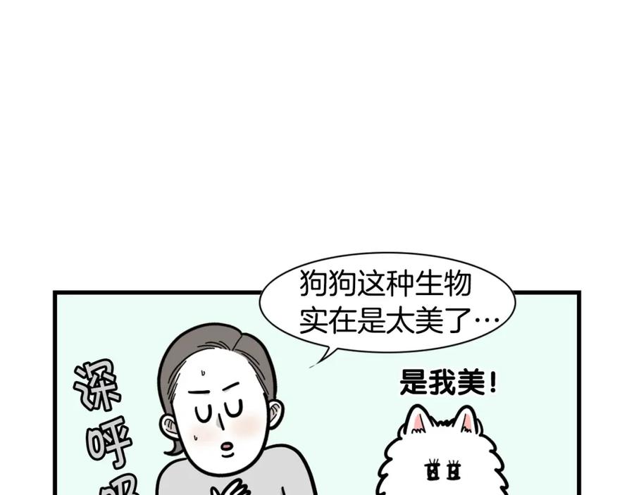 第58话狗狗好可爱！-我的狗子叫棉花-milo+Polarfox（第7张）