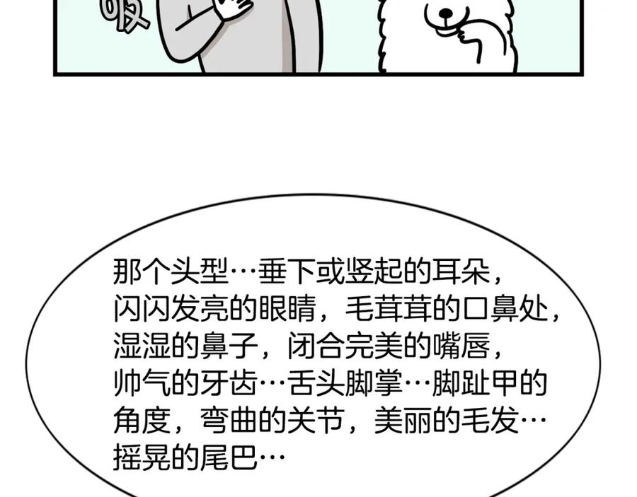 第58话狗狗好可爱！-我的狗子叫棉花-milo+Polarfox（第8张）