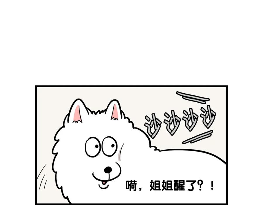 第59话棉花的一天-我的狗子叫棉花-milo+Polarfox（第13张）