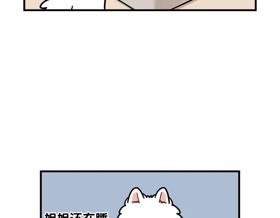 第59话棉花的一天-我的狗子叫棉花-milo+Polarfox（第10张）