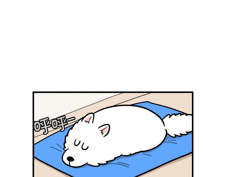 第59话棉花的一天-我的狗子叫棉花-milo+Polarfox（第5张）