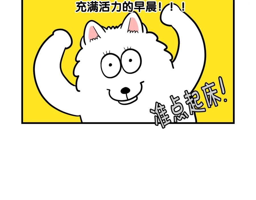 第59话棉花的一天-我的狗子叫棉花-milo+Polarfox（第8张）