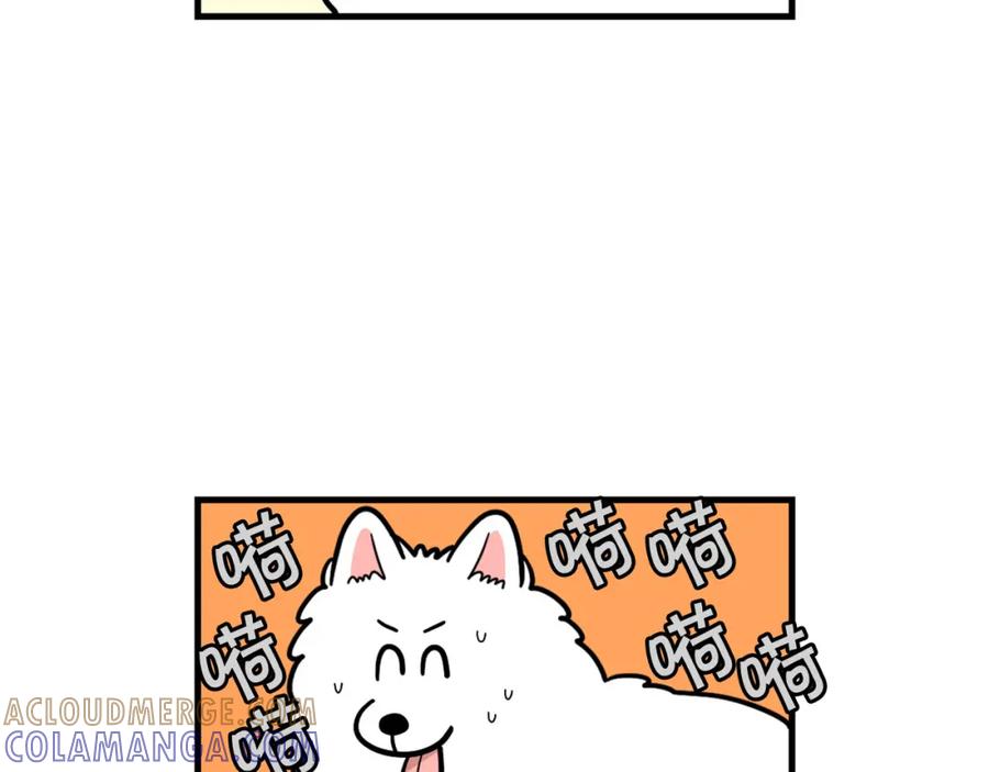 第60话养狗很快乐～-我的狗子叫棉花-milo+Polarfox（第6张）