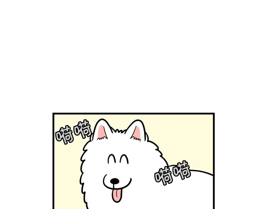 第60话养狗很快乐～-我的狗子叫棉花-milo+Polarfox（第5张）