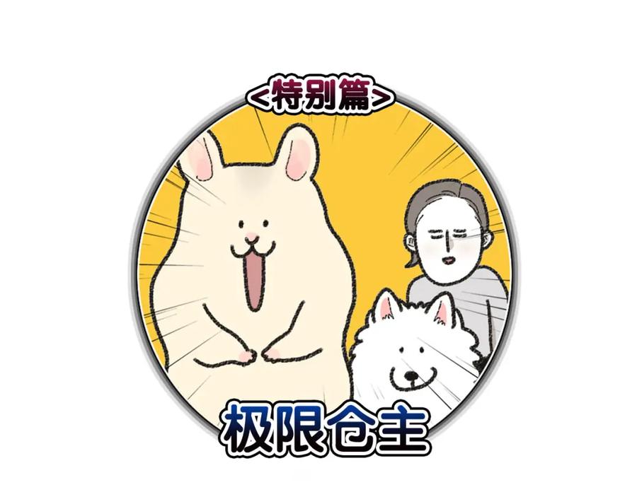 番外1毛毛登场！-我的狗子叫棉花-milo+Polarfox（第4张）