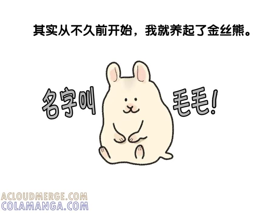 番外1毛毛登场！-我的狗子叫棉花-milo+Polarfox（第6张）