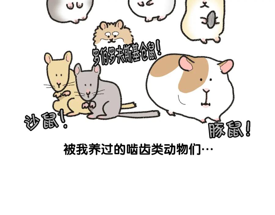 番外1毛毛登场！-我的狗子叫棉花-milo+Polarfox（第8张）