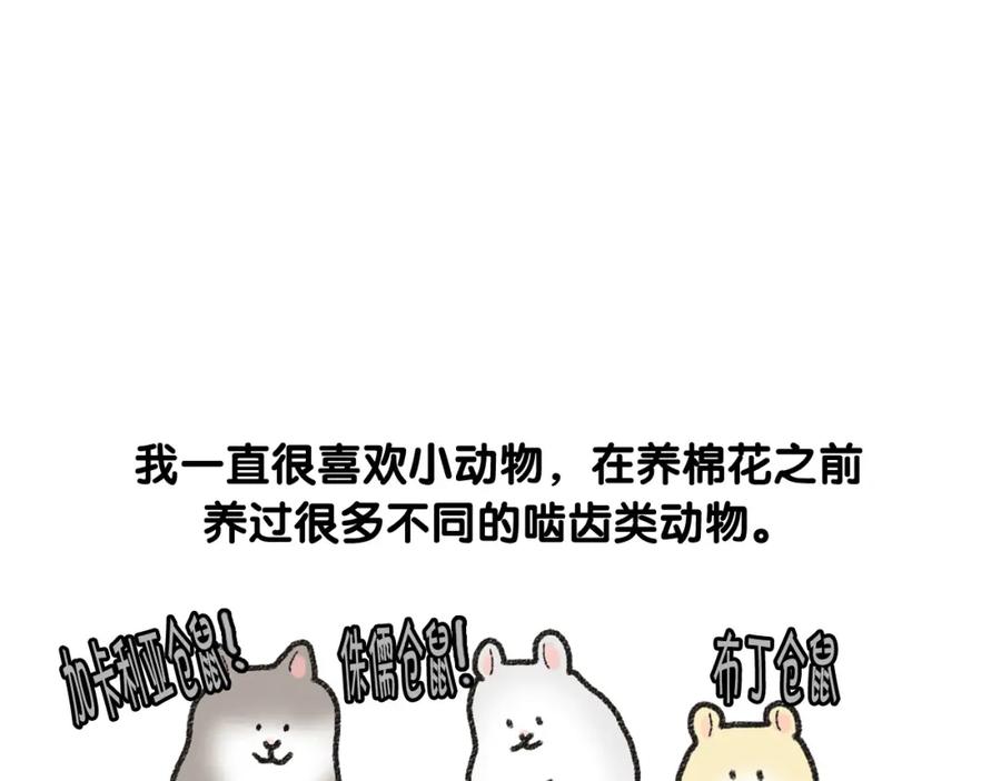 番外1毛毛登场！-我的狗子叫棉花-milo+Polarfox（第7张）