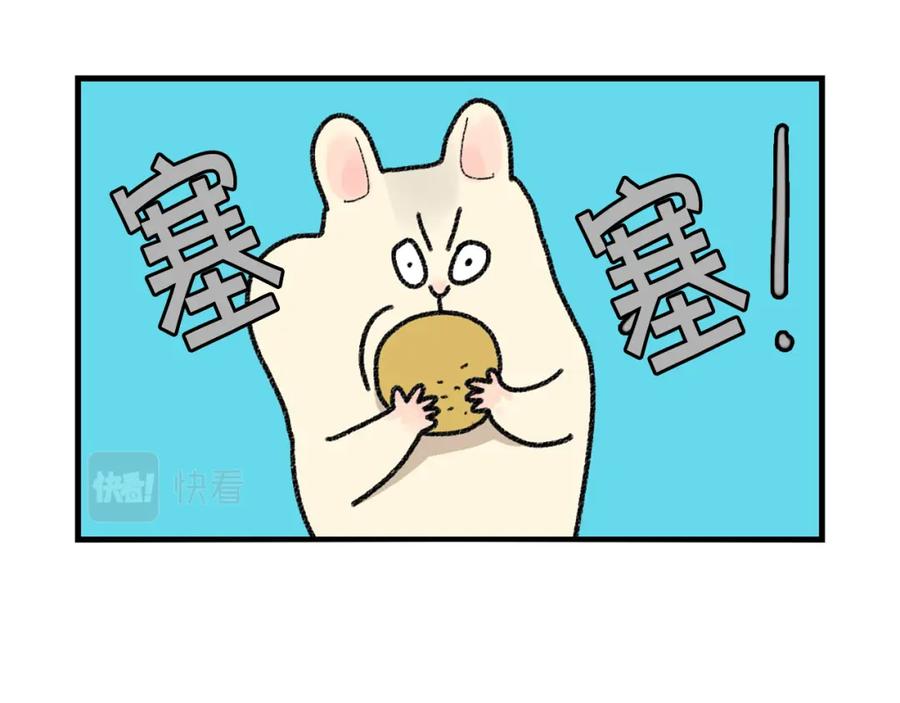 番外2嘴容量-我的狗子叫棉花-milo+Polarfox（第7张）