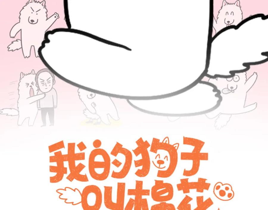 番外2嘴容量-我的狗子叫棉花-milo+Polarfox（第1张）