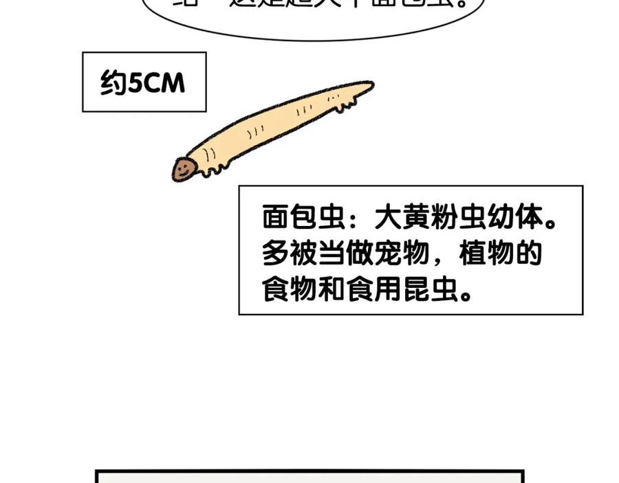 番外2嘴容量-我的狗子叫棉花-milo+Polarfox（第10张）