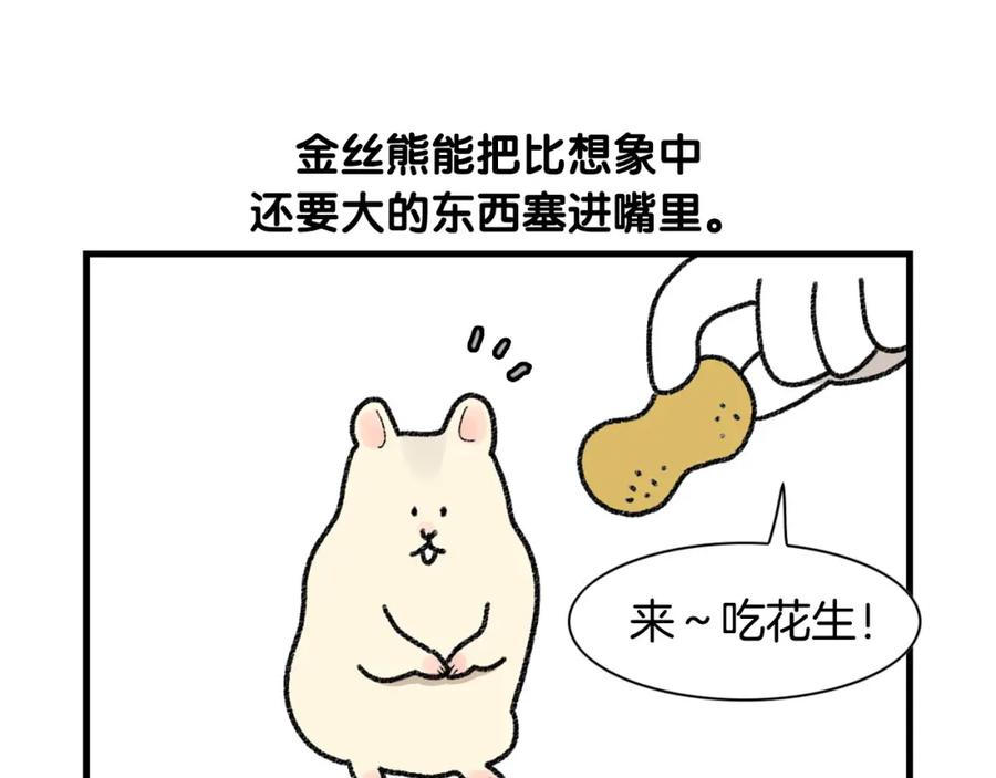 番外2嘴容量-我的狗子叫棉花-milo+Polarfox（第4张）