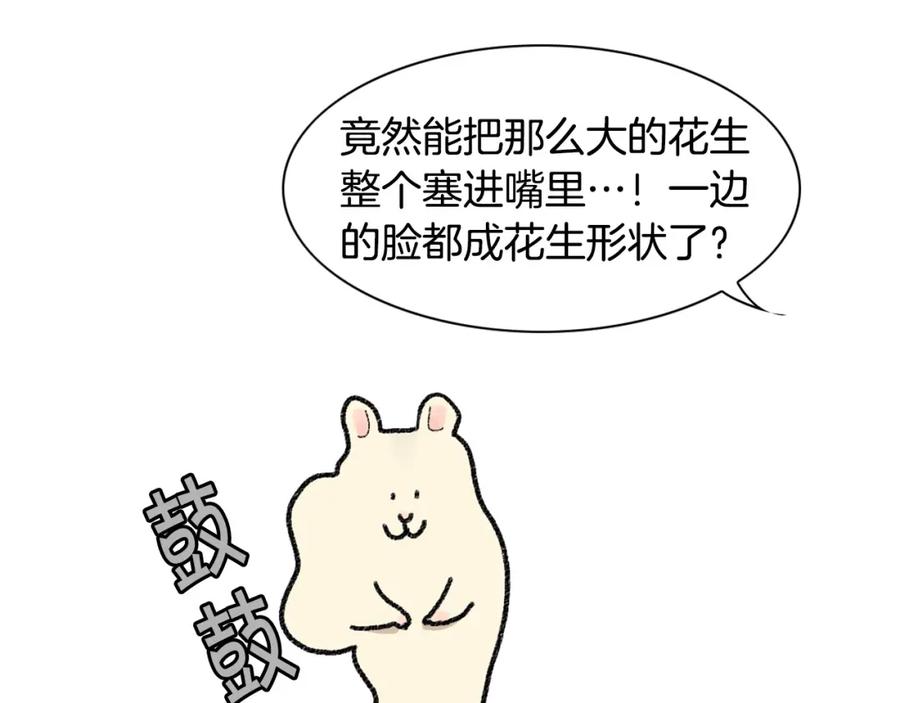 番外2嘴容量-我的狗子叫棉花-milo+Polarfox（第8张）