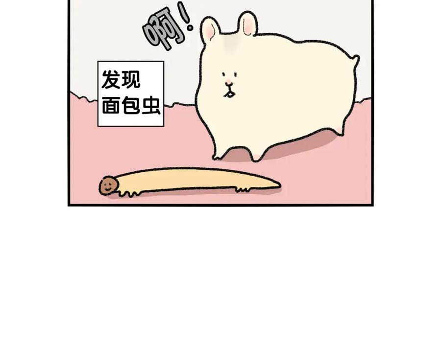 番外2嘴容量-我的狗子叫棉花-milo+Polarfox（第11张）