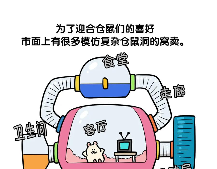 番外3好奇心-我的狗子叫棉花-milo+Polarfox（第7张）