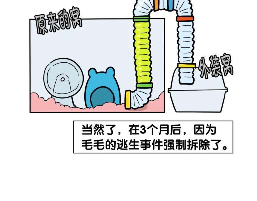 番外3好奇心-我的狗子叫棉花-milo+Polarfox（第10张）