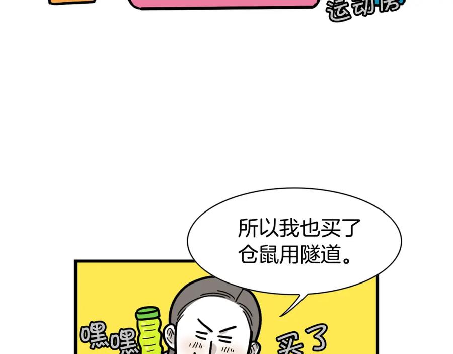 番外3好奇心-我的狗子叫棉花-milo+Polarfox（第8张）