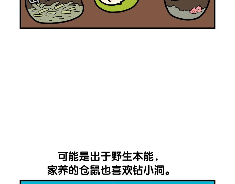 番外3好奇心-我的狗子叫棉花-milo+Polarfox（第5张）