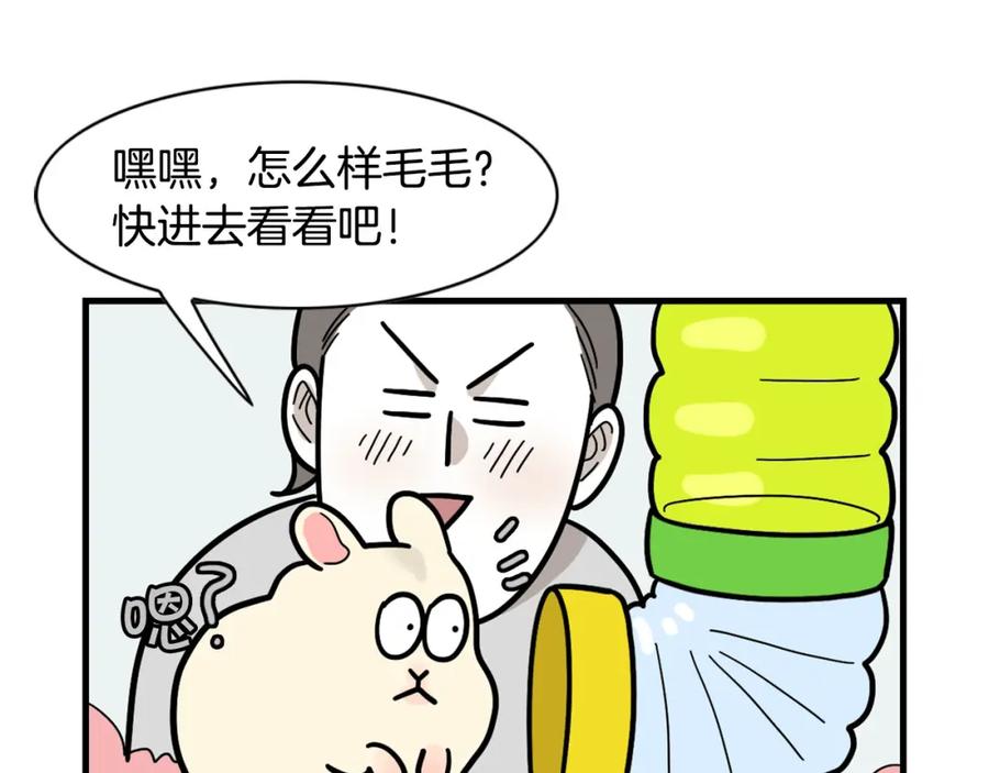 番外3好奇心-我的狗子叫棉花-milo+Polarfox（第11张）