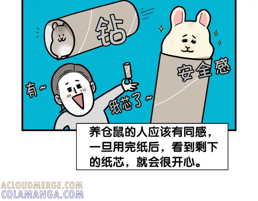 番外3好奇心-我的狗子叫棉花-milo+Polarfox（第6张）