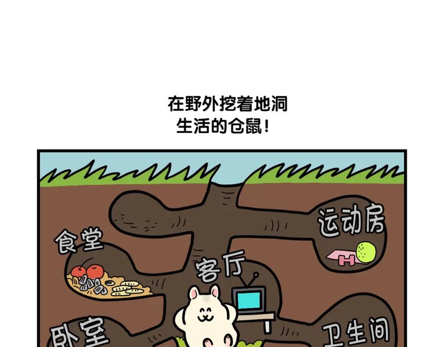 番外3好奇心-我的狗子叫棉花-milo+Polarfox（第4张）