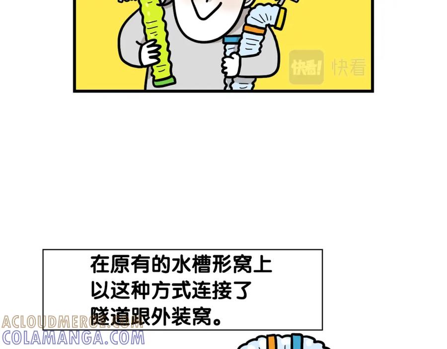 番外3好奇心-我的狗子叫棉花-milo+Polarfox（第9张）
