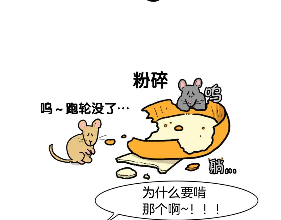 完结篇番外5请勿随意弃养-我的狗子叫棉花-milo+Polarfox（第11张）