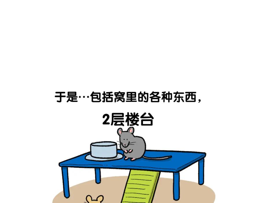 完结篇番外5请勿随意弃养-我的狗子叫棉花-milo+Polarfox（第8张）