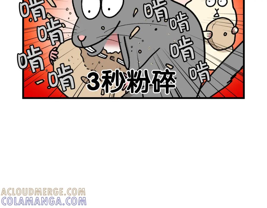 完结篇番外5请勿随意弃养-我的狗子叫棉花-milo+Polarfox（第6张）