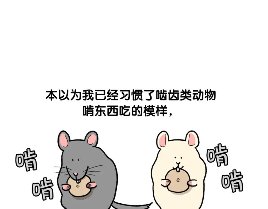完结篇番外5请勿随意弃养-我的狗子叫棉花-milo+Polarfox（第4张）