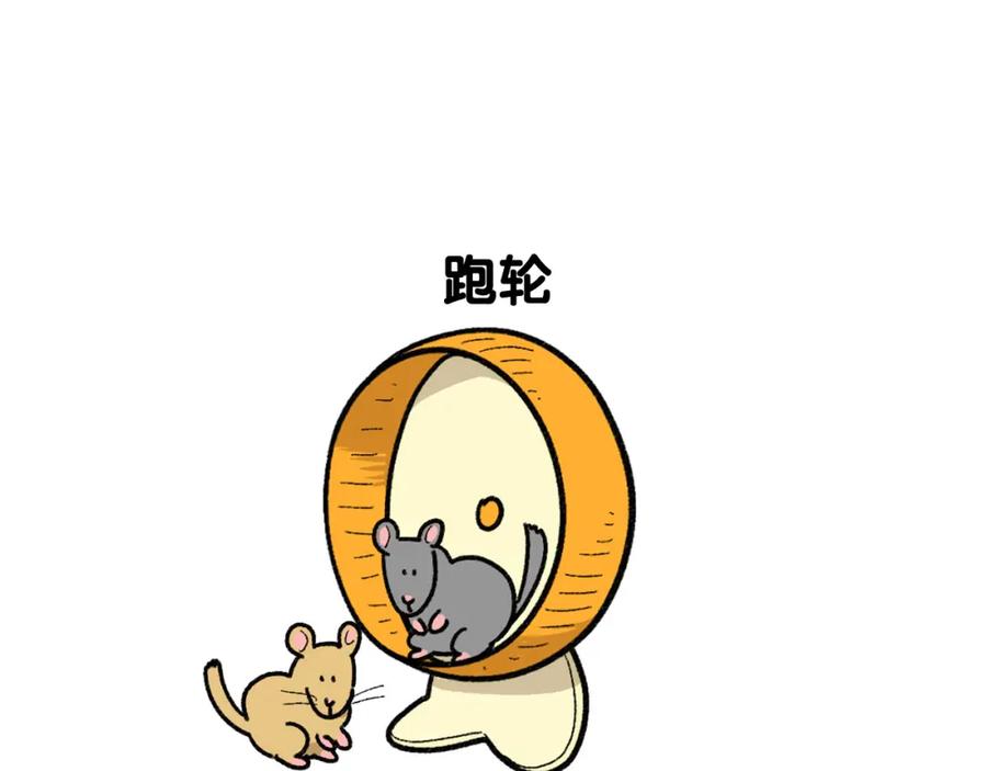 完结篇番外5请勿随意弃养-我的狗子叫棉花-milo+Polarfox（第10张）