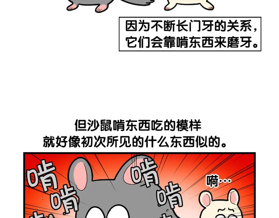 完结篇番外5请勿随意弃养-我的狗子叫棉花-milo+Polarfox（第5张）