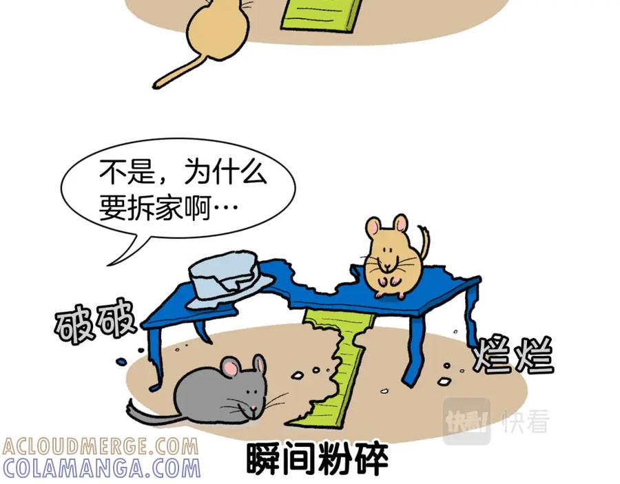 完结篇番外5请勿随意弃养-我的狗子叫棉花-milo+Polarfox（第9张）