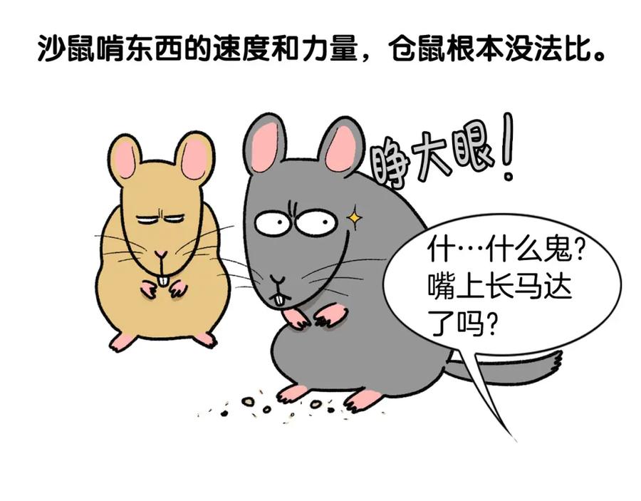 完结篇番外5请勿随意弃养-我的狗子叫棉花-milo+Polarfox（第7张）
