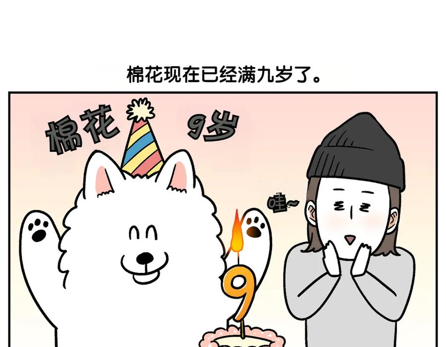 第2季序章已经是中年狗狗了！-我的狗子叫棉花-milo+Polarfox（第4张）