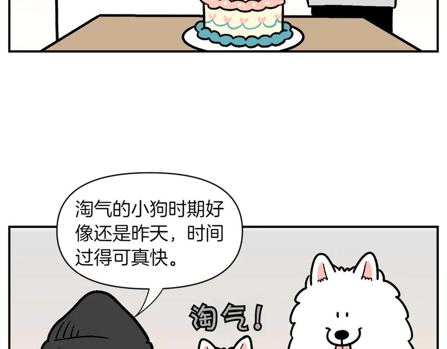 第2季序章已经是中年狗狗了！-我的狗子叫棉花-milo+Polarfox（第5张）