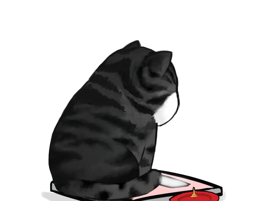 6.jpg