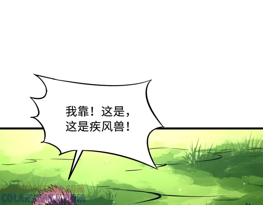 377不可驯服的疾风兽-超级神基因-丛潇漫画（第33张）