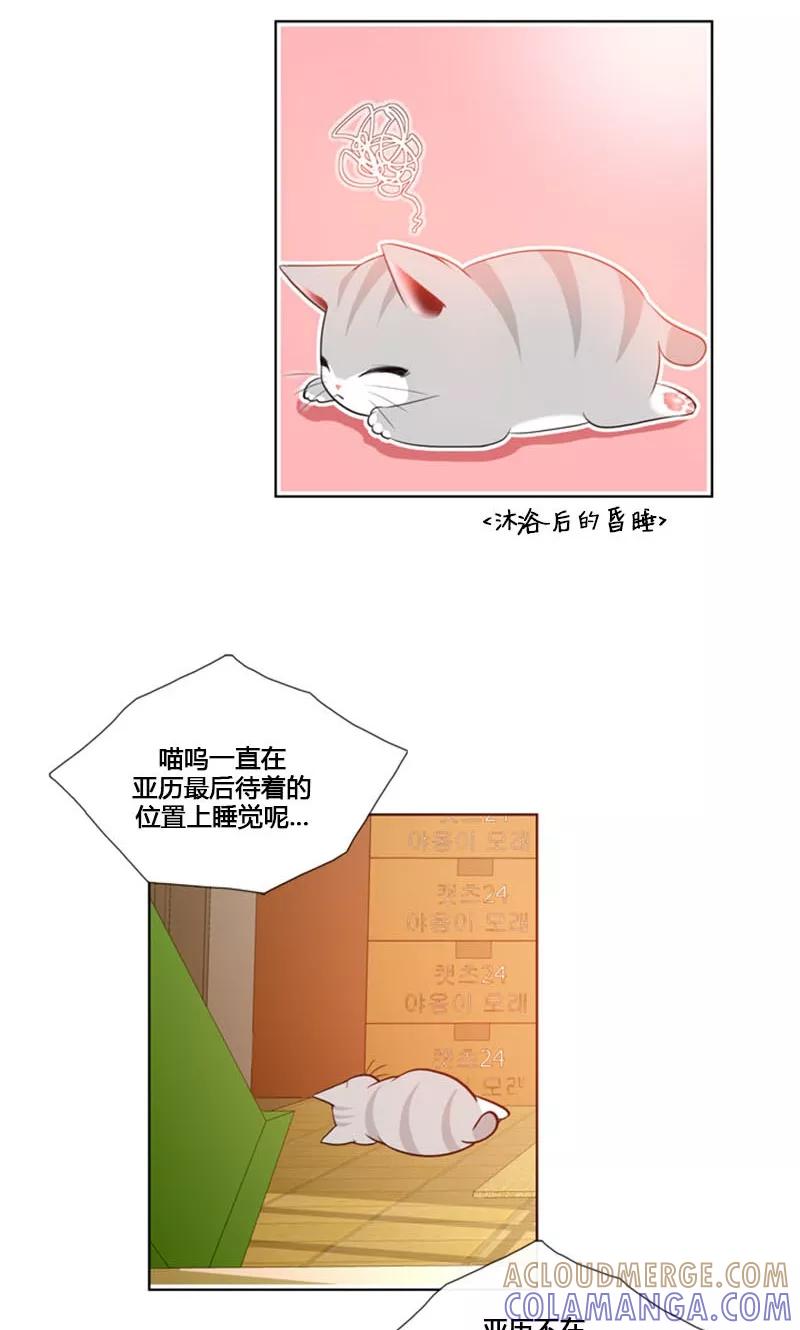 第84话-ICE-Cold要员的捡猫事件-漫拍拍 金耶琳 张流拉（第19张）