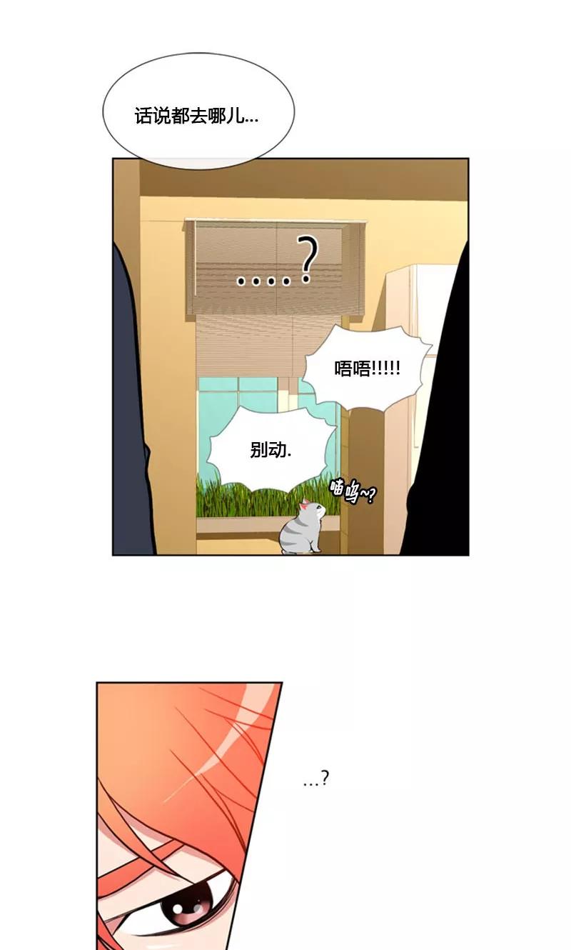 第84话-ICE-Cold要员的捡猫事件-漫拍拍 金耶琳 张流拉（第26张）