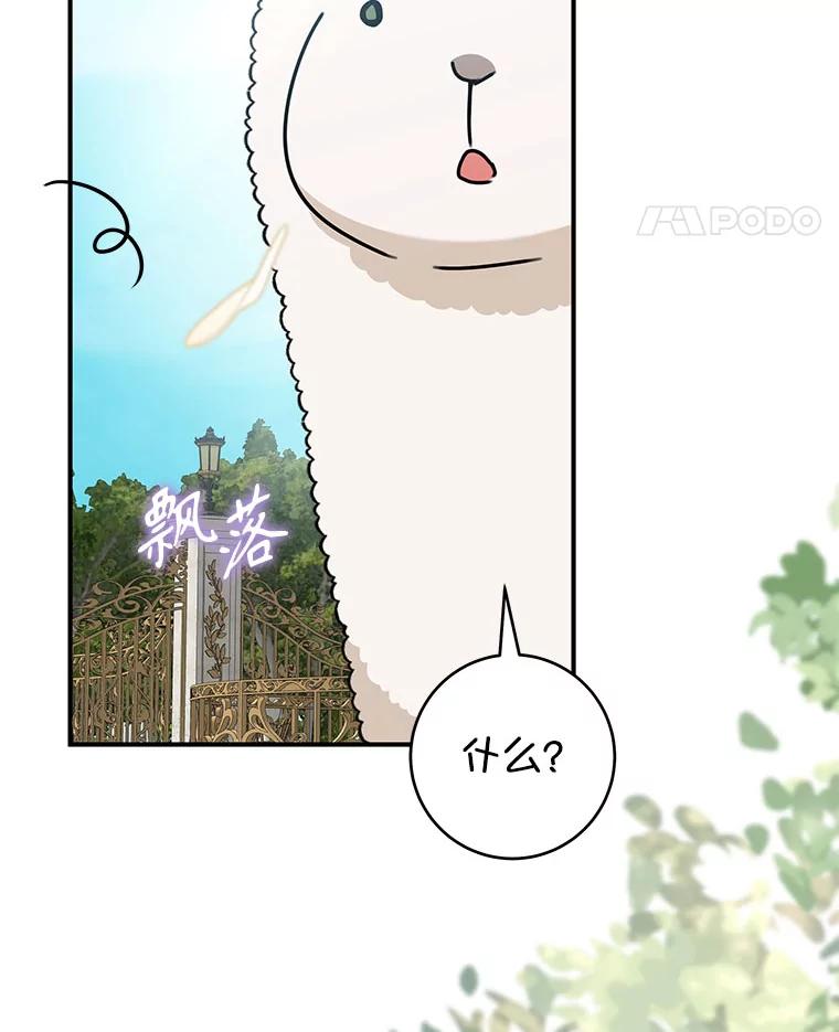 111.jpg