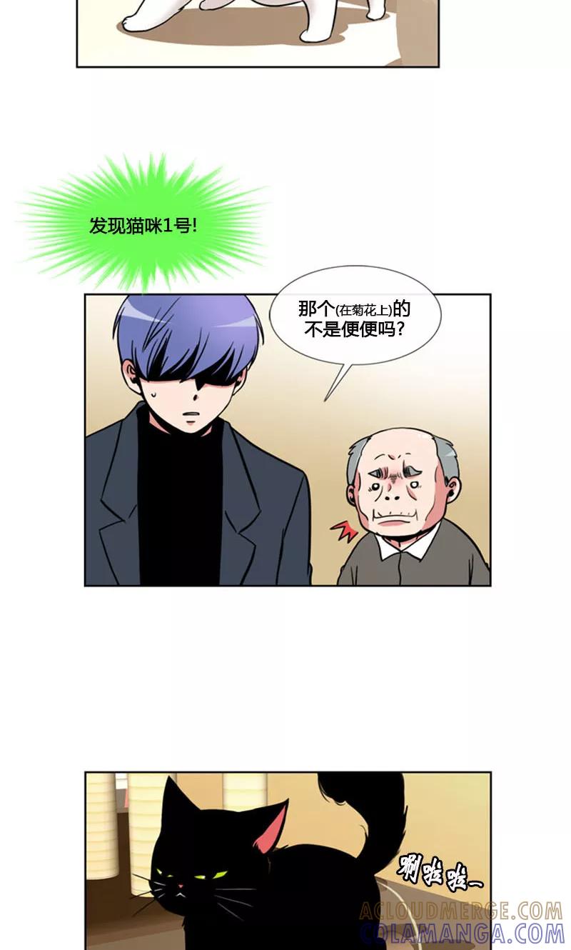 第96话-ICE-Cold要员的捡猫事件-漫拍拍 金耶琳 张流拉（第9张）