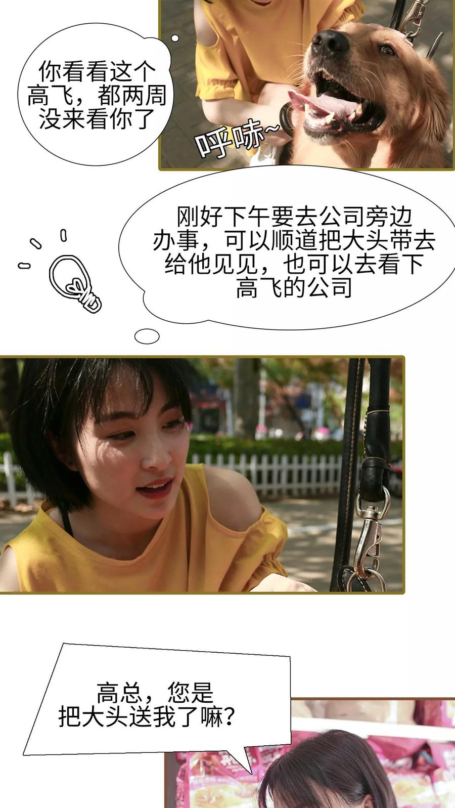 第17话-萌宠情缘-剧能玩（第2张）